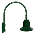 RAB GN5LED13NSST11G 13W LED Gooseneck Straight Shade with Pole 20" High, 19" from Pole Goose Arm, 4000K (Neutral), Spot Reflector, 11" Straight Angle Shade, Hunter Green Finish