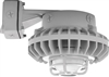 RAB HAZBLED26F-DG 26W Wall Mount LED Hazardous Location Fixture, 5100K (Cool), 1916 Lumens, 70 CRI, Frosted Globes, Die Cast Guard, Natural Finish