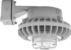 RAB HAZBLED26F-DG 26W Wall Mount LED Hazardous Location Fixture, 5100K (Cool), 1916 Lumens, 70 CRI, Frosted Globes, Die Cast Guard, Natural Finish