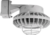 RAB HAZBLED26FF-G 26W Wall Mount LED Hazardous Location Fixture, 5100K (Cool), 2249 Lumens, 69 CRI, Frosted Lens, Wire Guard, Natural Finish