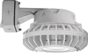 RAB HAZBLED42CF 42W Wall Mount LED Hazardous Location Fixture, 5100K (Cool), 3816 Lumens, 69 CRI, Clear Lens, No Guard, Natural Finish