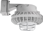 RAB HAZBLED42CF-DG 42W Wall Mount LED Hazardous Location Fixture, 5100K (Cool), 3816 Lumens, 69 CRI, Clear Lens, Die Cast Guard, Natural Finish