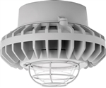 RAB HAZPLED26C-G 26W Pendant Mount LED Hazardous Location Fixture, 5100K (Cool), 2521 Lumens, 70 CRI, Clear Globes, Wire Guard, Natural Finish