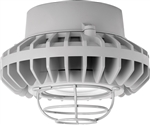 RAB HAZPLED26CF-G 26W Pendant Mount LED Hazardous Location Fixture, 5100K (Cool), 2881 Lumens, 69 CRI, Clear Lens, Wire Guard, Natural Finish