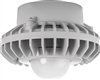 RAB HAZPLED26F 26W Pendant Mount LED Hazardous Location Fixture, 5100K (Cool), 2687 Lumens, 70 CRI, Frosted Globes, No Guard, Natural Finish