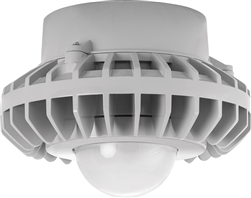 RAB HAZPLED26F 26W Pendant Mount LED Hazardous Location Fixture, 5100K (Cool), 2687 Lumens, 70 CRI, Frosted Globes, No Guard, Natural Finish