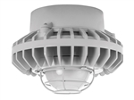 RAB HAZPLED26F-G 26W Pendant Mount LED Hazardous Location Fixture, 5100K (Cool), 2334 Lumens, 70 CRI, Frosted Globes, Wire Guard, Natural Finish