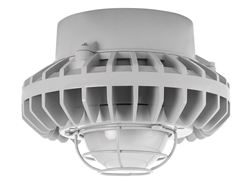 RAB HAZPLED26F-G 26W Pendant Mount LED Hazardous Location Fixture, 5100K (Cool), 2334 Lumens, 70 CRI, Frosted Globes, Wire Guard, Natural Finish