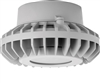 RAB HAZPLED26FF 26W Pendant Mount LED Hazardous Location Fixture, 5100K (Cool), 2249 Lumens, 69 CRI, Frosted Lens, No Guard, Natural Finish