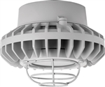 RAB HAZPLED26FF-G 26W Pendant Mount LED Hazardous Location Fixture, 5100K (Cool), 2249 Lumens, 69 CRI, Frosted Lens, Wire Guard, Natural Finish