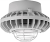 RAB HAZPLED42C-G 42W Pendant Mount LED Hazardous Location Fixture, 5100K (Cool), 3316 Lumens, 70 CRI, Clear Globes, Wire Guard, Natural Finish