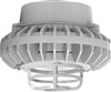 RAB HAZPLED42CF-DG 42W Pendant Mount LED Hazardous Location Fixture, 5100K (Cool), 3816 Lumens, 69 CRI, Clear Lens, Die Cast Guard, Natural Finish