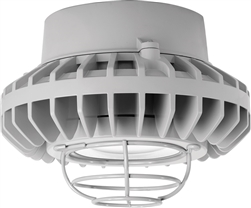 RAB HAZPLED42CF-G 42W Pendant Mount LED Hazardous Location Fixture, 5100K (Cool), 3816 Lumens, 69 CRI, Clear Lens, Wire Guard, Natural Finish