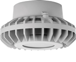 RAB HAZPLED42FF 42W Pendant Mount LED Hazardous Location Fixture, 5100K (Cool), 2986 Lumens, 69 CRI, Frosted Lens, No Guard, Natural Finish