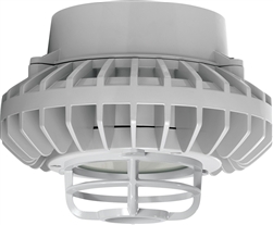 RAB HAZPLED42FF-DG 42W Pendant Mount LED Hazardous Location Fixture, 5100K (Cool), 2986 Lumens, 69 CRI, Frosted Lens, Die Cast Guard, Natural Finish