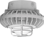 RAB HAZXLED26C-DG 26W Ceiling Mount LED Hazardous Location Fixture, 5100K (Cool), 2035 Lumen, 70 CRI, Clear Globes, Die Cast Guard,  DLC Listed, Natural Finish