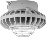 RAB HAZXLED26C-G 26W Ceiling Mount LED Hazardous Location Fixture, 5100K (Cool), 2521 Lumen, 70 CRI, Clear Globes, Wire Guard,  DLC Listed, Natural Finish