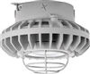 RAB HAZXLED26CF-G 26W Ceiling Mount LED Hazardous Location Fixture, 5100K (Cool), 2881 Lumen, 69 CRI, Clear Lens, Wire Guard,  DLC Listed, Natural Finish
