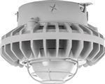 RAB HAZXLED26F-G 26W Ceiling Mount LED Hazardous Location Fixture, 5100K (Cool), 2334 Lumen, 70 CRI, Frosted Globes, Wire Guard,  DLC Listed, Natural Finish