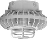 RAB HAZXLED26FF-DG 26W Ceiling Mount LED Hazardous Location Fixture, 5100K (Cool), 2249 Lumen, 69 CRI, Frosted Lens, Die Cast Guard,  DLC Listed, Natural Finish