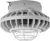 RAB HAZXLED42C-G 42W Ceiling Mount LED Hazardous Location Fixture, 5100K (Cool), 3316 Lumen, 70 CRI, Clear Globes, Wire Guard,  DLC Listed, Natural Finish