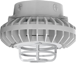 RAB HAZXLED42CF-DG 42W Ceiling Mount LED Hazardous Location Fixture, 5100K (Cool), 3816 Lumen, 69 CRI, Clear Lens, Die Cast Guard,  DLC Listed, Natural Finish