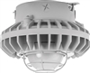 RAB HAZXLED42F-G 42W Ceiling Mount LED Hazardous Location Fixture, 5100K (Cool), 3076 Lumen, 70 CRI, Frosted Globes, Wire Guard,  DLC Listed, Natural Finish