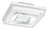 RAB PRT30NW 30W LED PORTO Garage Light, No Photocell, 4000K (Neutral), 3151 Lumens, 73 CRI, 120V-277V, Standard, White Finish