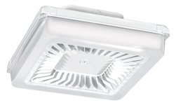 RAB PRT30W/480/D10 30W LED PORTO Garage Light, No Photocell, 5000K (Cool), 3455 Lumens, 74 CRI, 480V, Dimmable, White Finish