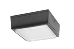 RAB VANLED40/480/D10 40W LED Canopy Light, 5000K (Cool), 4379 Lumens, 75 CRI, 480V, Drop Lens, Dimmable Operation, No DLC, Bronze Finish