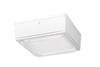 RAB VANLED65NW/480/D10 65W LED Canopy Light, 4000K (Neutral), 6169 Lumens, 74 CRI, 480V, Drop Lens, Dimmable Operation, No DLC, White Finish