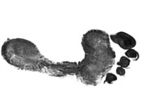 Comparison of Plantar Friction Ridge Impressions - 12 December 9-10,  2024 - Sylmar, CA