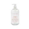 Citrus hand wash 16oz. Ctn. 6