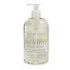 Eucalyptus Hand Wash 16oz. Ctn. 6