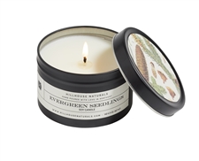 Evergreen Seedlings Candle in black Tin 6.5oz. Ctn. 6