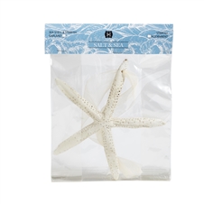 Starfish Adornment Ctn. 6