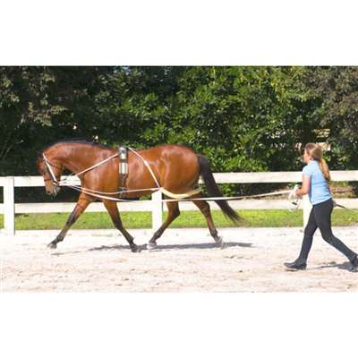 Pessoa Lunging System