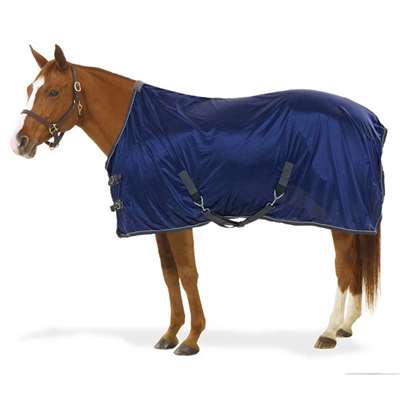Athletic Stable Sheet