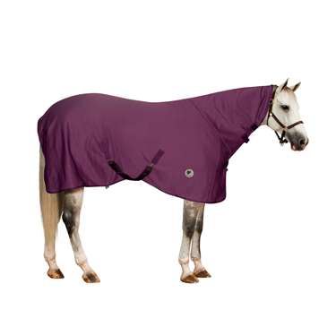 PONY Turbo-Dry Cooler w/NECK