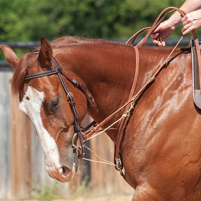 Martin Saddlery Phil Haugen German Martingale Split Reins