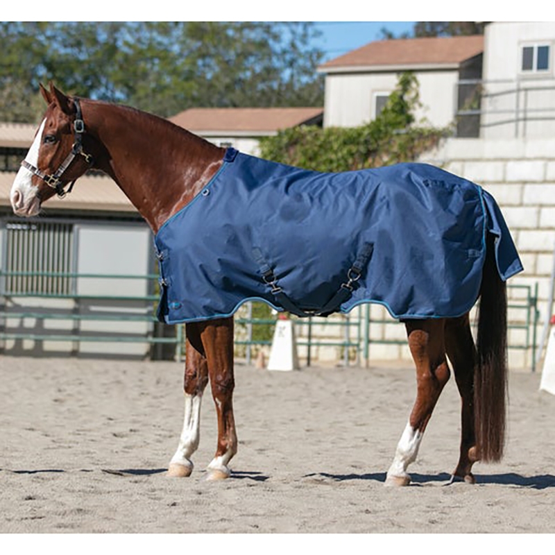 Kensington Signature Light Weight Horse Turnout Blanket