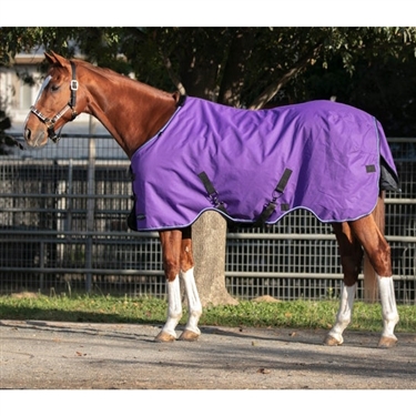 Kensington Signature Rain Sheet Horse