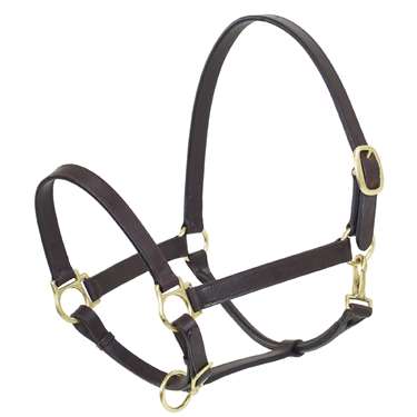 Leather  Stable Halter