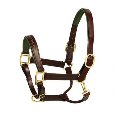 Fcy Stch Green Padded Halter