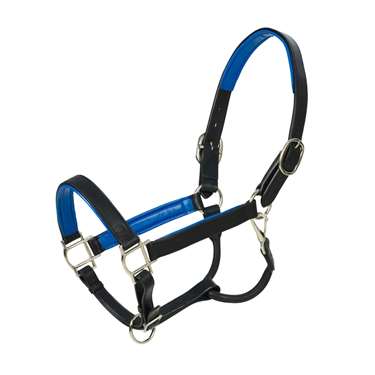 Flat Padded Halter 3/4 Inch Wide