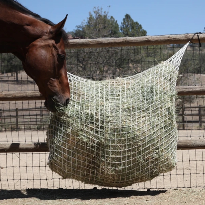 Freedom Feeder Extended Day 1" Very Slow Feeding Net