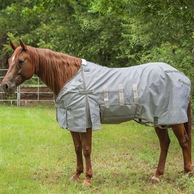 Cashel Crusader Lightweight Horse Fly Sheet