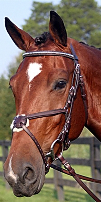 Nunn Finer Figure 8 Bridle