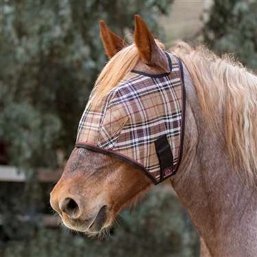 Draft Fly Mask with Web Trim