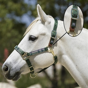 Kensington Premium Breakaway Halter